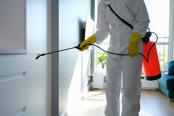 Best Fast Mold Removal  in Lake Sconsin, WI