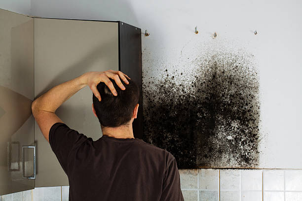 Best Mold Removal Process  in Lake Sconsin, WI